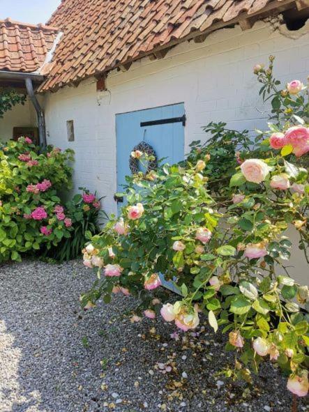 Le Clos De La Rose Gite Bien Etre Wirwignes Exteriör bild