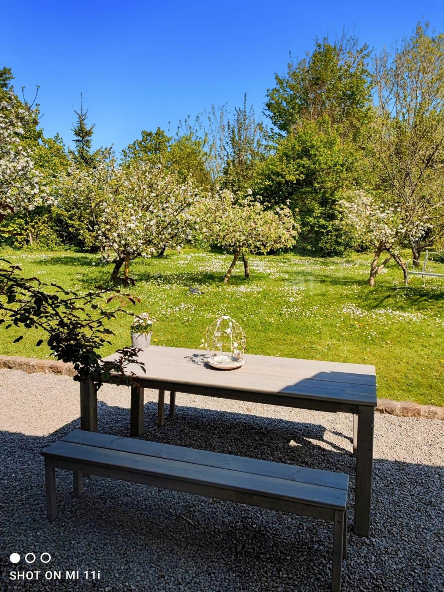 Le Clos De La Rose Gite Bien Etre Wirwignes Exteriör bild